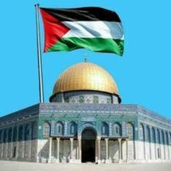 Ahmed Abo Hmama