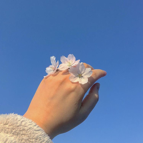 رَكـعَتين وبَسْ ..~ خالد الجبير
