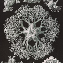 The Supreme Abstract