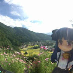 haiko