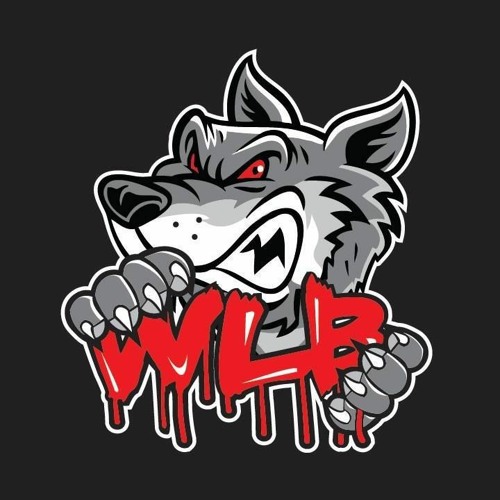 Wildlifedaproducer — artist photo