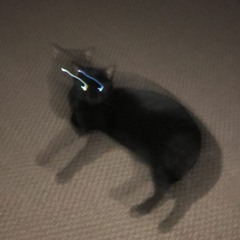 Glokk