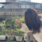 daisy.xun