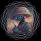 HYPNOTIC SOUND