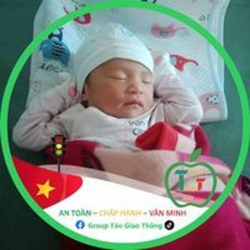 Ngô Quang Chế’s avatar