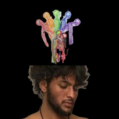 LLOSEH