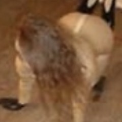 KUSHYJI花冠持有者