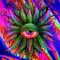 Rasta man