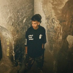 ashoub13