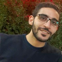 أحمد أبورية
