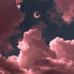 Sleepinco