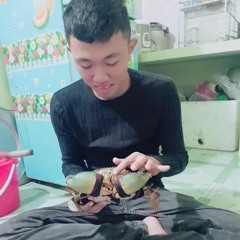hung anh