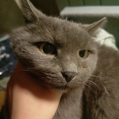 qwuz