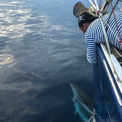 New private playlist