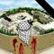 Ahmed