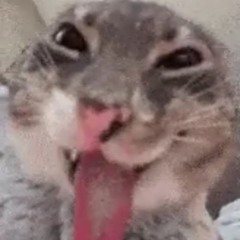 Occu
