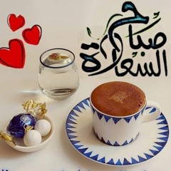 محمد حسنين جاب الله