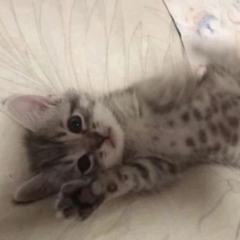 anyxx