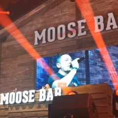 Tom Cosyns Moose Bar
