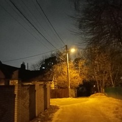 Бодя Галич