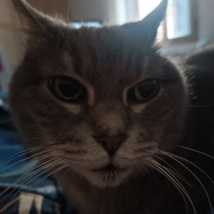 Kay :)