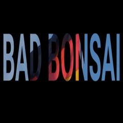 Bad Bonsai Media