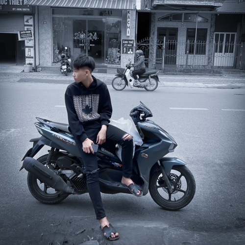 Pham The Anh — artist photo