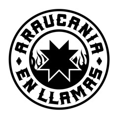 Araucania en Llamas A.E.L.