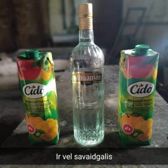 plbm dovydas