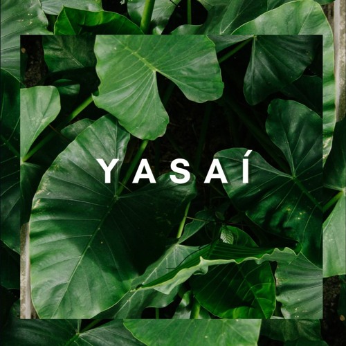 Yasaí’s avatar