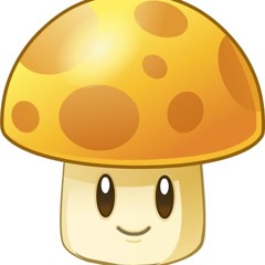 Joe