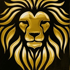 LionsMaine