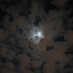 𝔸𝕝-𝔻𝕠𝕤𝕒𝕣𝕚