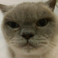 Verbatim Super slowed