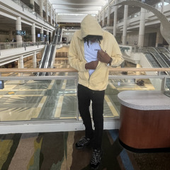 apollo_jay