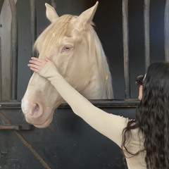 غزالة 🦌