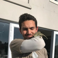kyle RedGigateckwolf