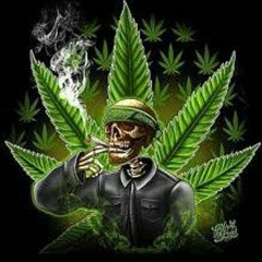 Djstatu 🍃💀