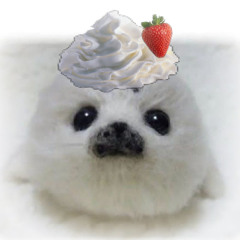 teodorawr ☆