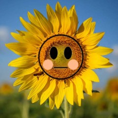 SUNFLOWER.EXE