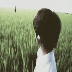 Никита Трафик