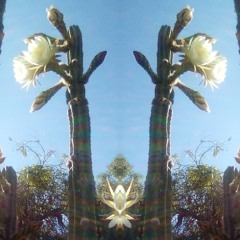 ƈձƈէսรƒl◊ᾧ