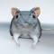 rat in the backrooms