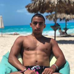 Mahmoud El Wakeel