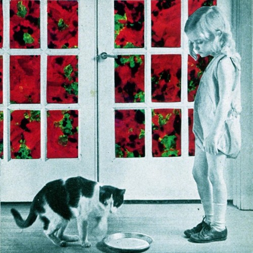 Day 17 - Flurough Bules