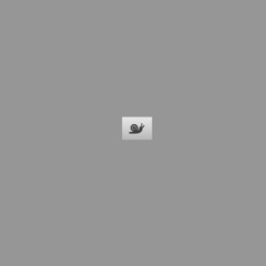 snail irl