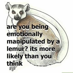 giuseppe della torra