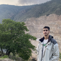 parham shabani