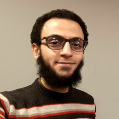 Mohamed Hamdi