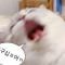 m._.
